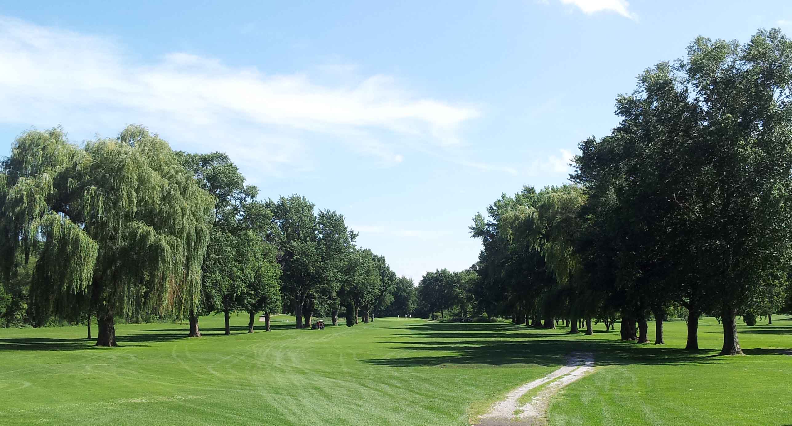 17tee
