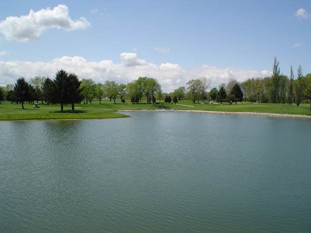Number8Pond