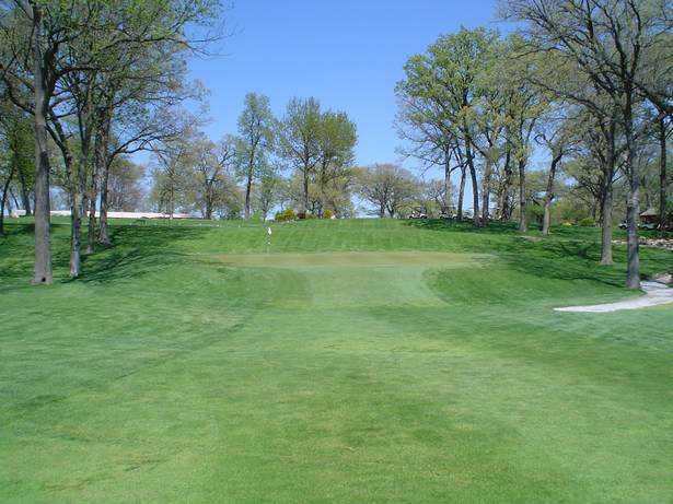 Number9Green